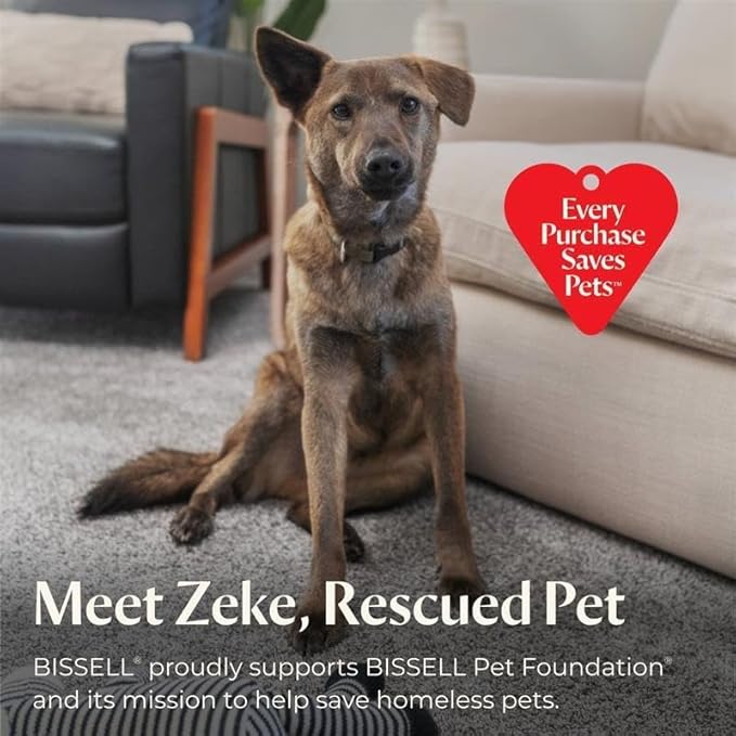 BISSELL Steam Shot Omni Pressurized Handheld Multi-Surface Natural Portable Steam Cleaner with 7 tools for tile, grout, windows, bathrooms, kitchen, auto